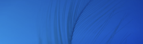 Screenshot 2025-12-23 at 7.13.59 PM